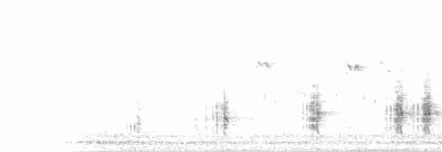 Great Reed Warbler - ML105399441