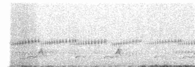 Schwarzkehl-Nachtschwalbe - ML105415411