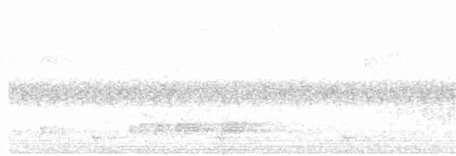 Barbudo Oliváceo (olivacea) - ML105475251