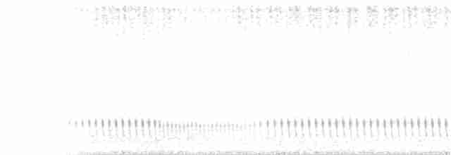 Eurasian Nightjar - ML105495401