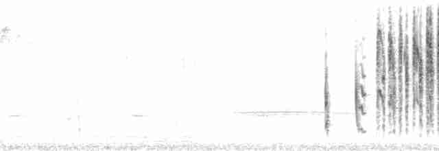 Marsh Wren (paludicola Group) - ML105501