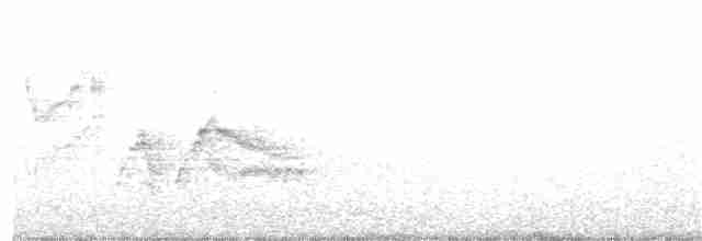 Gri Yanaklı Bülbül Ardıcı - ML105524451
