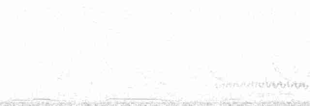 Kara Kuyruklu Bitkuşu - ML105532