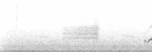 Длинноклювый пересмешник - ML105569