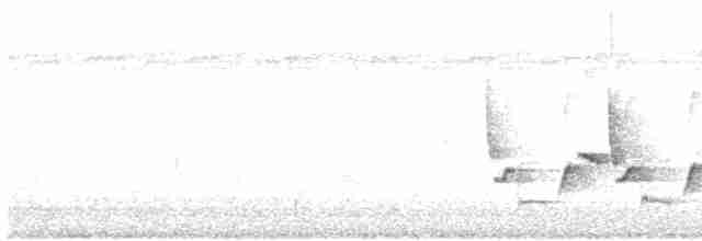 Каролинский крапивник - ML105574801