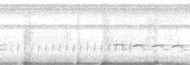 Yukatan Kolibrisi (cerviniventris/chalconota) - ML105601