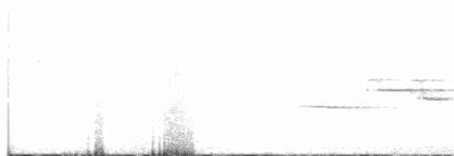 Дрізд-короткодзьоб плямистоволий - ML105629551