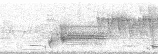 vlhovec červenokřídlý [skupina phoeniceus] - ML105638