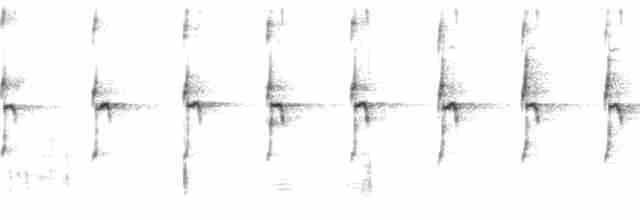 Улит-отшельник - ML105660101