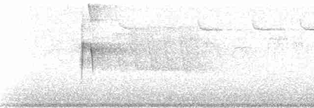 Turuncu Ardıç - ML105663