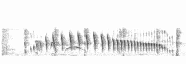 Curve-billed Reedhaunter - ML105710221