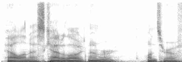 Приморская овсянка-барсучок - ML105738
