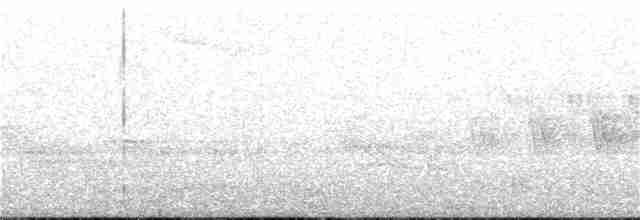 Червоїд сіроголовий - ML105768931