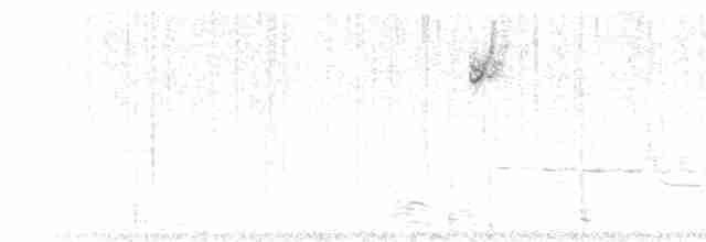 Paruline à couronne rousse (palmarum) - ML105810