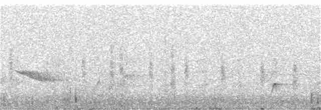 Black-crested Titmouse - ML105826341