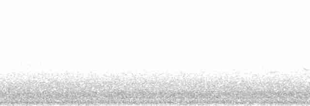 Buztanzuri arrunta (oenanthe/libanotica) - ML105852
