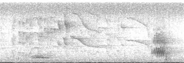 Kara Yanaklı Saksağan Kargası - ML105877211