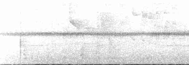 Bakır Belli Kolibri - ML105910