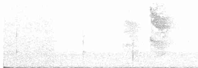 Perlenkehl-Ameisenschlüpfer - ML105912361