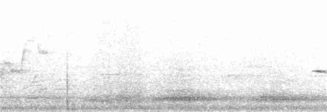 Белогорлая зонотрихия - ML105916381