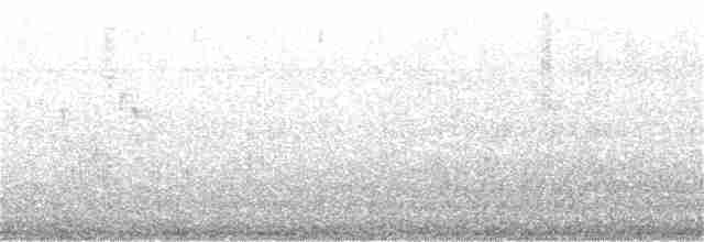 גיבתונית רוננת - ML105917441