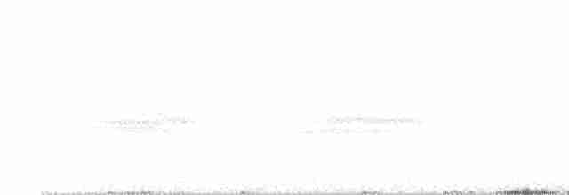 Loggerhead Shrike - ML105929201