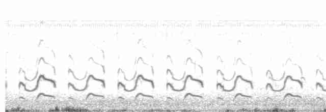 Bar-tailed Godwit - ML105961831