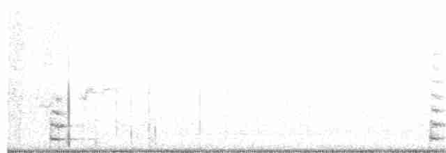 Common Gallinule - ML106033311
