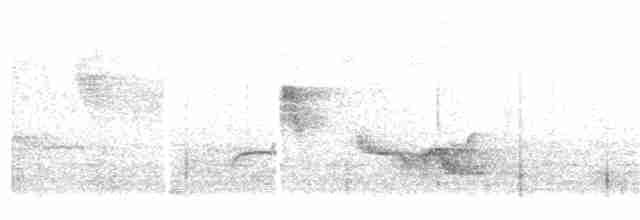 Troglodyte à poitrine grise - ML106048121