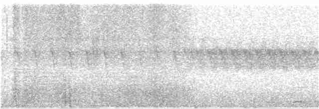 Дрізд-короткодзьоб плямистоволий - ML106066881