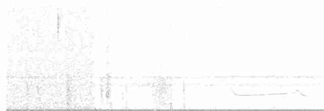 Дрімлюга міомбовий (підвид nigriscapularis) - ML106069381