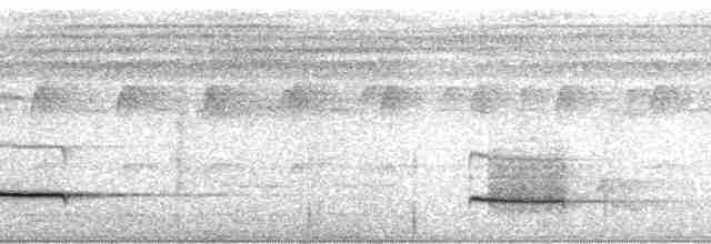 Pullu Çıtkuşu [marginatus grubu] - ML106074