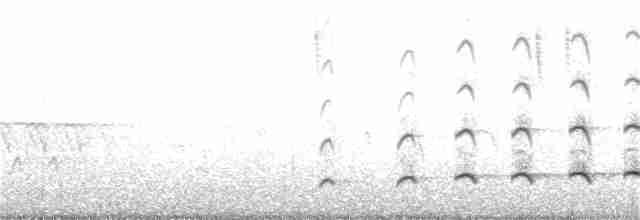Fischadler - ML106105201