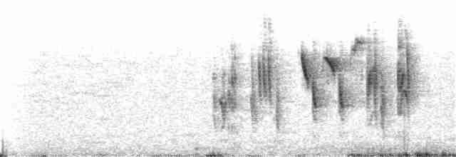 Iberien-Bartgrasmücke - ML106130181