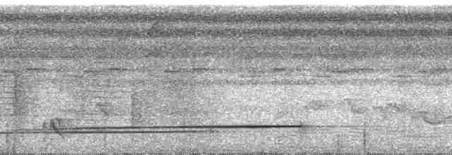 Strichelfaulvogel (torridus) - ML106195