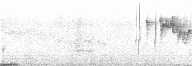 Gray-sided Bush Warbler - ML106210971