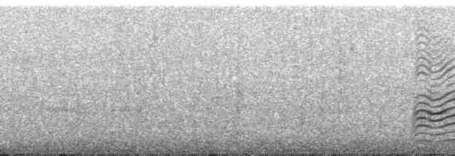 Белохвостая агуйя - ML106254