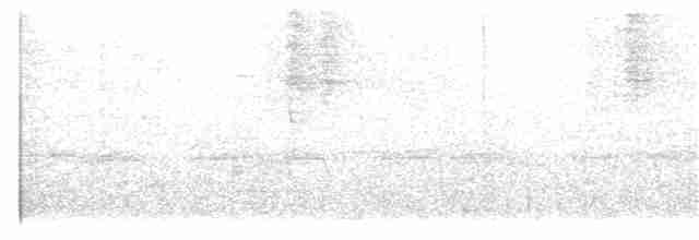 Black-billed Treehunter - ML106260551