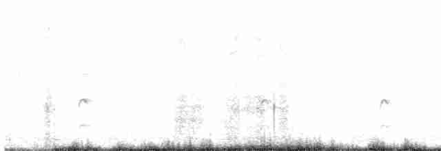 Spotless Crake - ML106298381