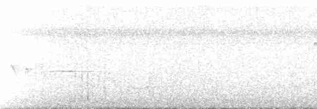 Flavescent Warbler - ML106306