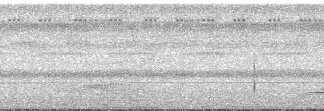 Cinereous Tinamou - ML106308