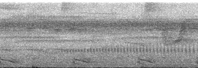Band-tailed Antshrike - ML106337