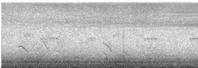 Cliff Swallow (melanogaster) - ML106342621