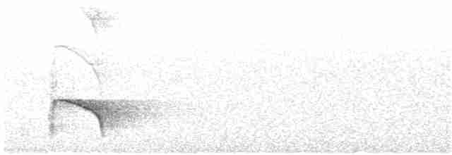 Weißkappentangare - ML106360371