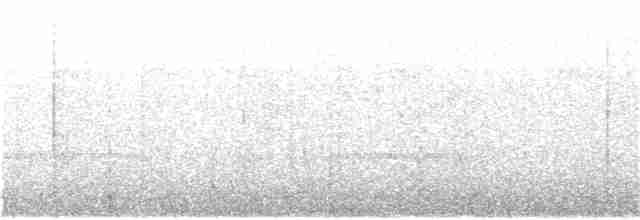 Mérulaxe du Narino - ML106361681