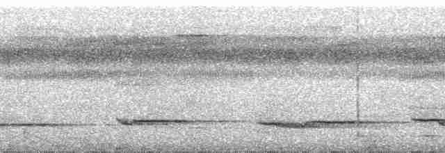 White-necked Thrush (Gray-flanked) - ML106466