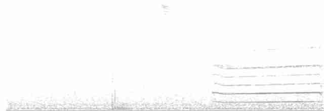 Gri Göğüslü Dağ Tukaneti - ML106508151