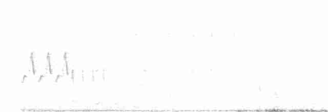 Black-billed Cuckoo - ML106517261