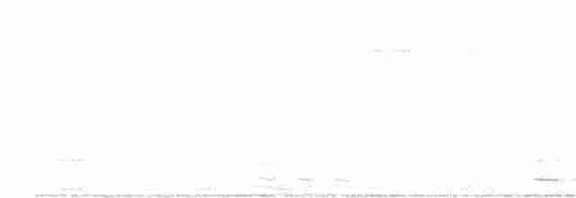 Black-billed Cuckoo - ML106517301