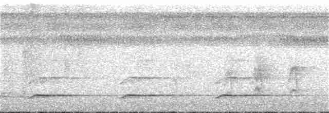 White-throated Toucan - ML106528841